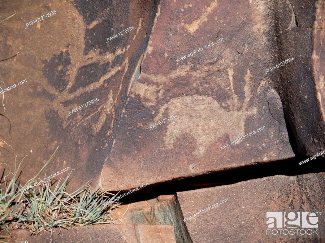 Stock Photo: A rock painting of an antelope, by the San people, in Wildebeest Kuil near Kimberley, South Africa, pictured 3 February 2015.