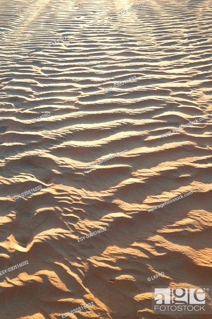 Stock Photo: abstract texture line wave in oman the old desert and the empty quarter.