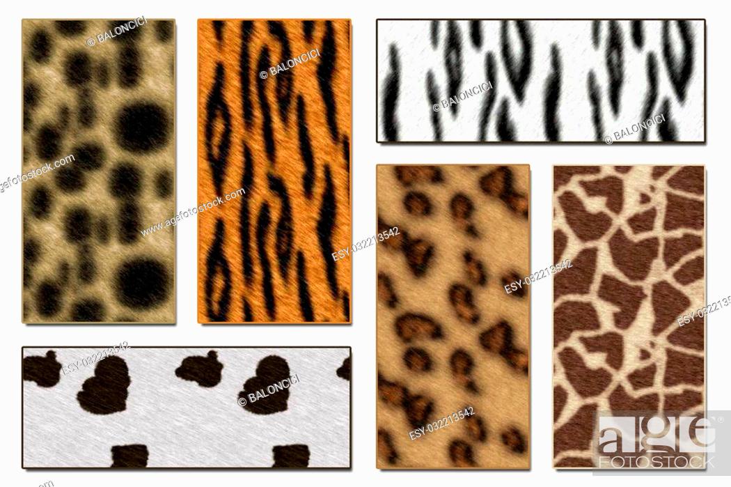 Six African wild animals skin background texture, Stock Photo, Picture And  Low Budget Royalty Free Image. Pic. ESY-032213542 | agefotostock