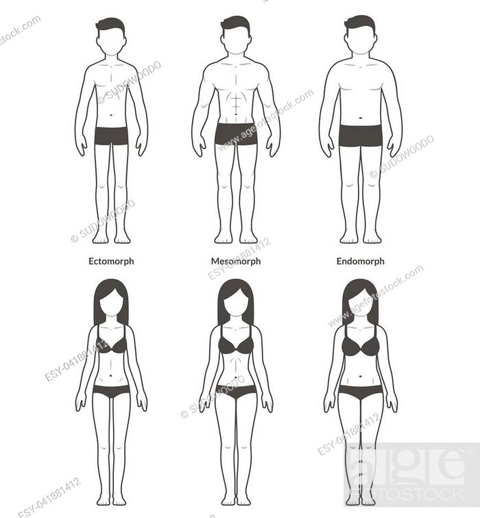 Female com www body Zygote Body