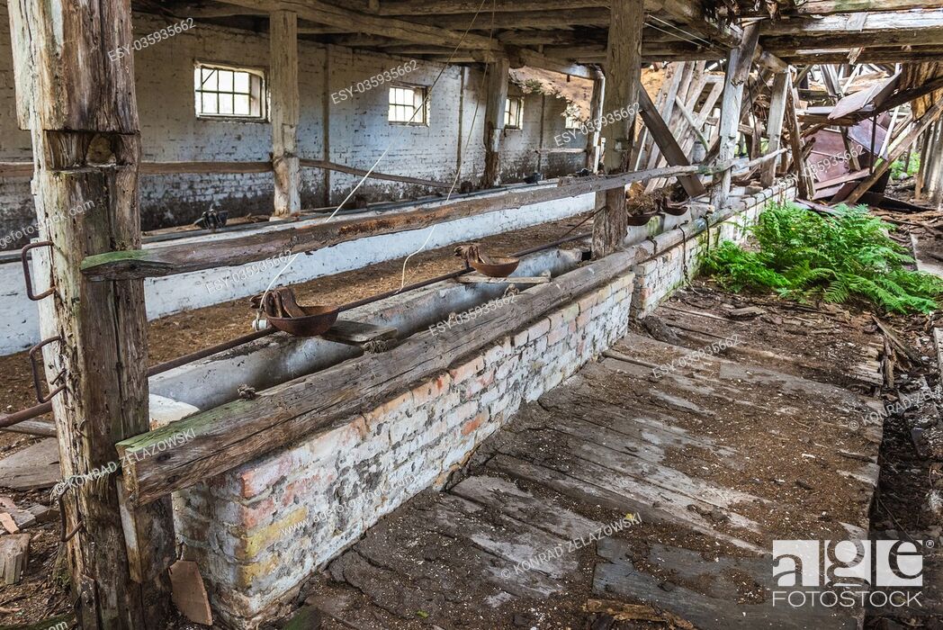 Stock Photo: Feeding trough inside the pig house of old kolkhoz in abandoned Mashevo village of Chernobyl Nuclear Power Plant Zone of Alienation in Ukraine.