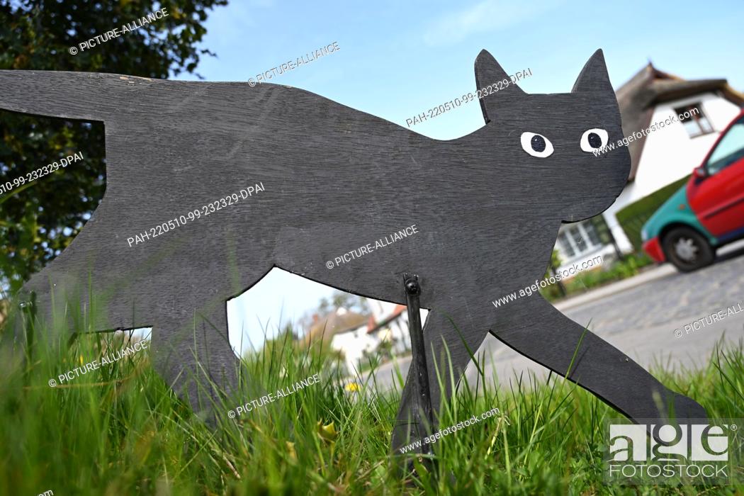 Stock Photo: 10 May 2022, Mecklenburg-Western Pomerania, Born: A wooden cat stands in sunny weather as a car scare in a traffic-calmed area in a village street in the.