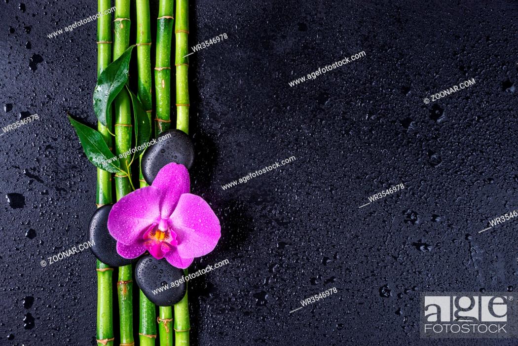 Stock Photo: Spa concept with black basalt massage stones, pink orchid flower and a few stems of Lucky bamboo covered with water drops on a black background; with space for.