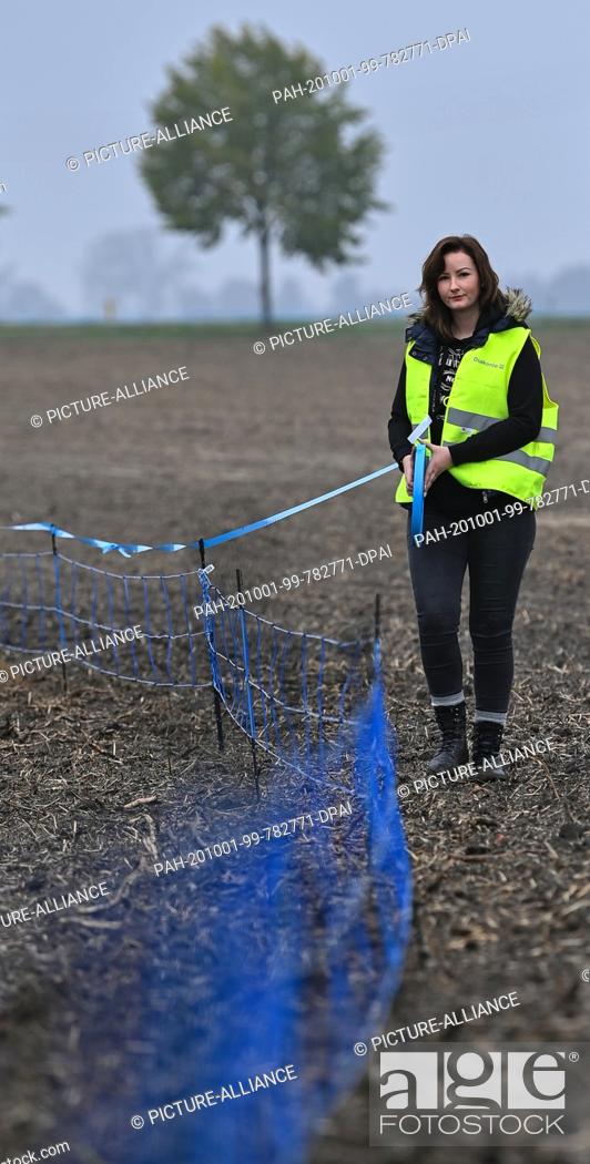 Stock Photo: 01 October 2020, Brandenburg, Gorgast: Anika Bogdain, employee in the office of the district of Märkisch-Oderland, erects a mobile electric fence on a field.