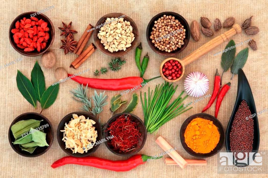 Stock Photo: Culinary Herbs and Spices.