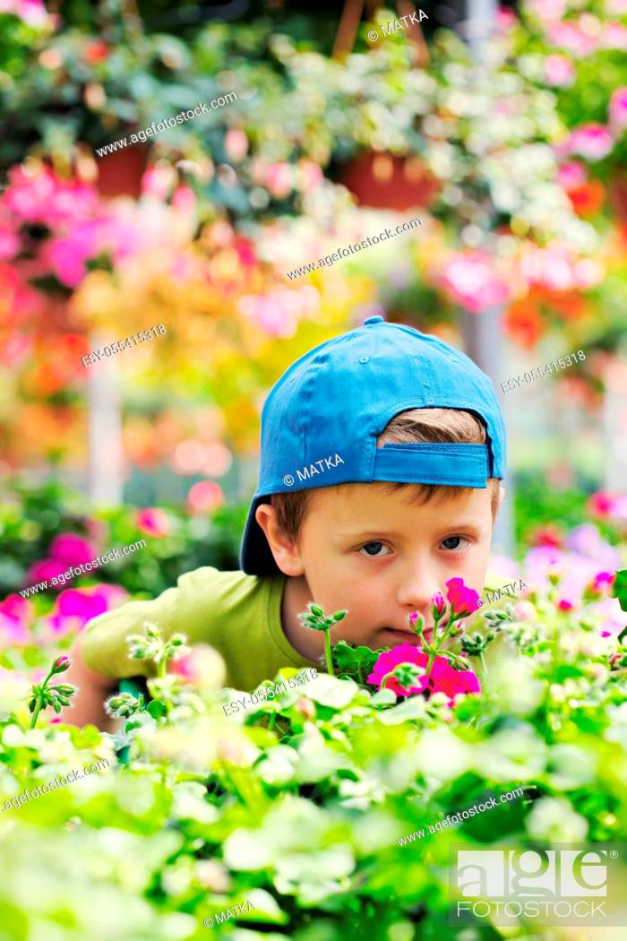 Stock Photo: boy, flowers, garden center, scent of flower.