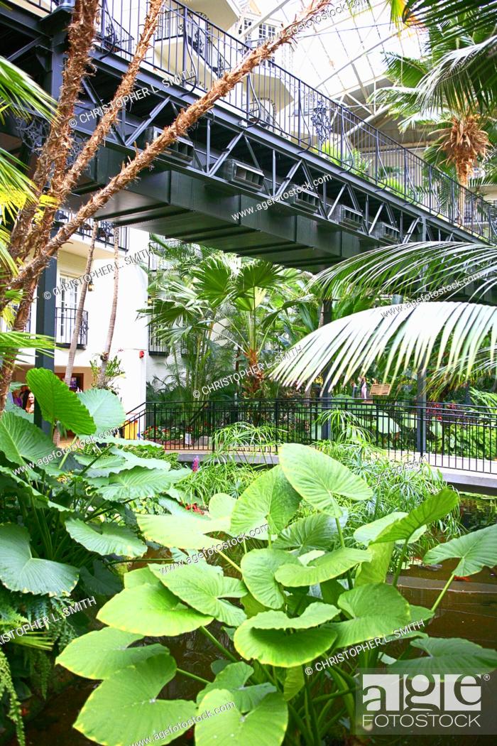The Botanical Garden Style Gaylord Opryland Hotel Resort In