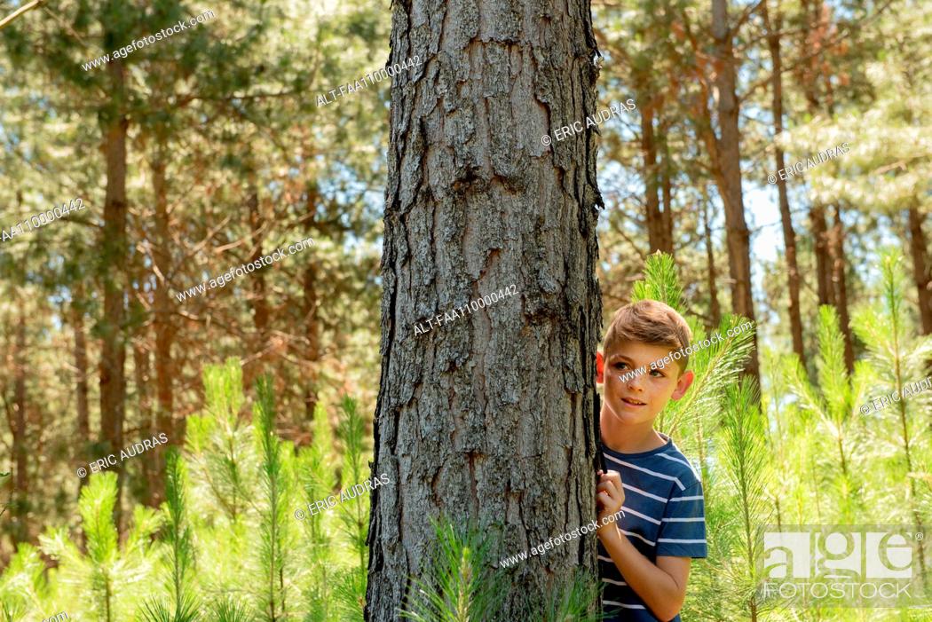 Stock Photo: Boy hiding behind tree trunk.