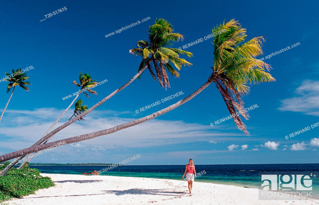 Stock Photo: Woman on the sandy beach. Wakatobi Dive Resort, Sulawesi, Indian Ocean, Bandasea. Indonesia.