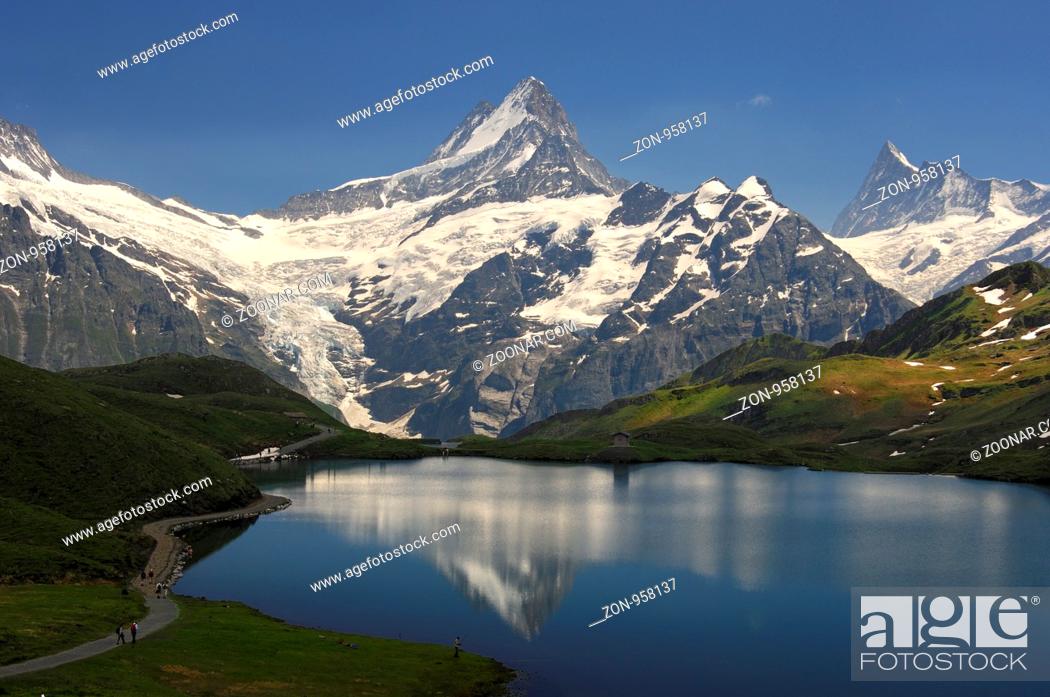 Stock Photo: Am Bachalpsee, Blick auf die Schweizer Alpen mit dem Oberen Grindelwaldgletscher und dem Schreckhorn, Grindelwald, Berner Oberland Schweiz / At the mountaion.