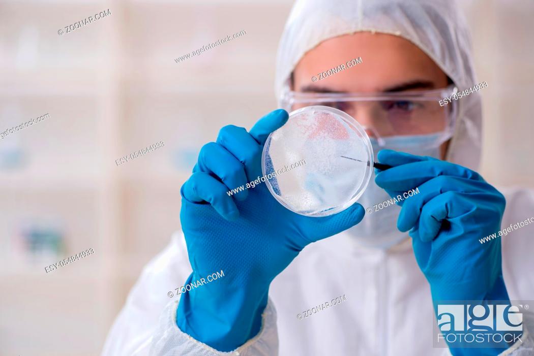Stock Photo: The young male chemist working in the lab.