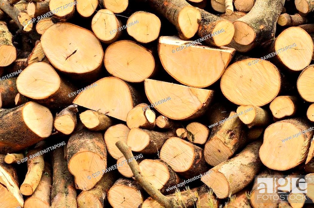 Stock Photo: Pile of wood logs.