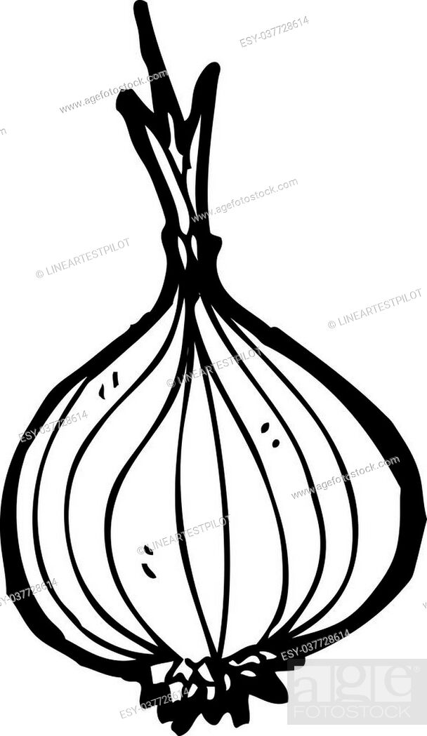cartoon onion, Stock Vector, Vector And Low Budget Royalty Free Image. Pic.  ESY-037728614 | agefotostock
