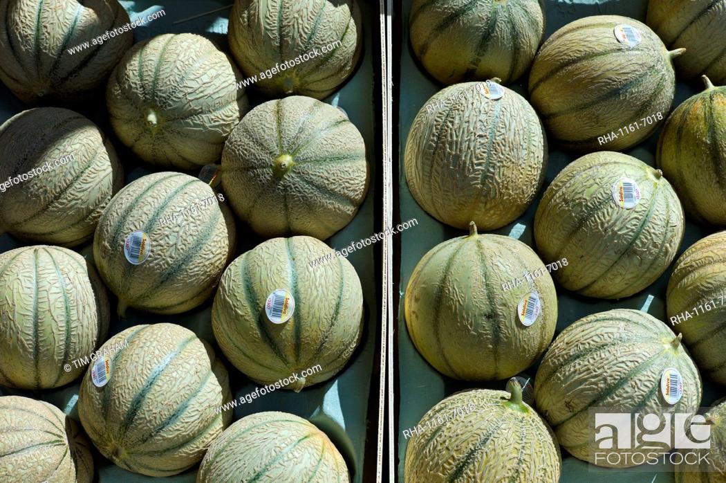Stock Photo: French Charentais melons on sale at food market at La Reole in Bordeaux region of France.