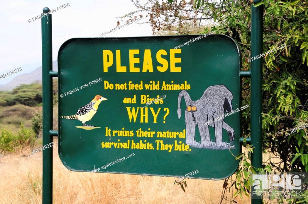 Sign Do not feed wild animals, Lake Manyara National Park, Tanzania,  Africa, Stock Photo, Picture And Rights Managed Image. Pic. IBR-929223 |  agefotostock