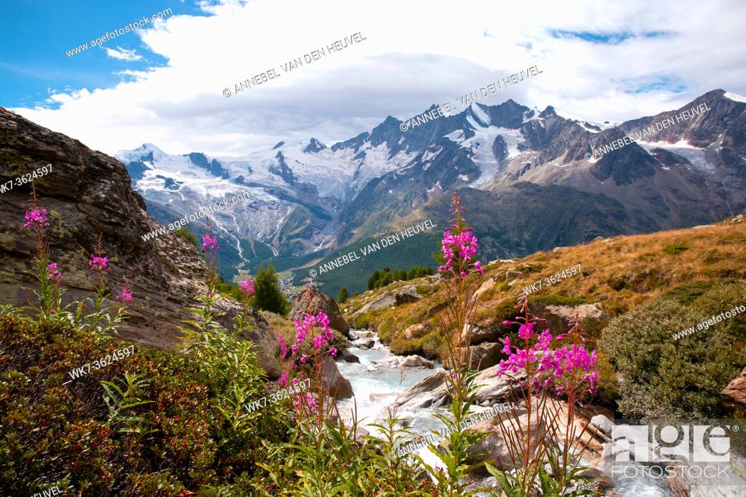 Imagen: Beautiful mountain landscape with stream near Alps, Switzerland in the summer Swiss Europe.