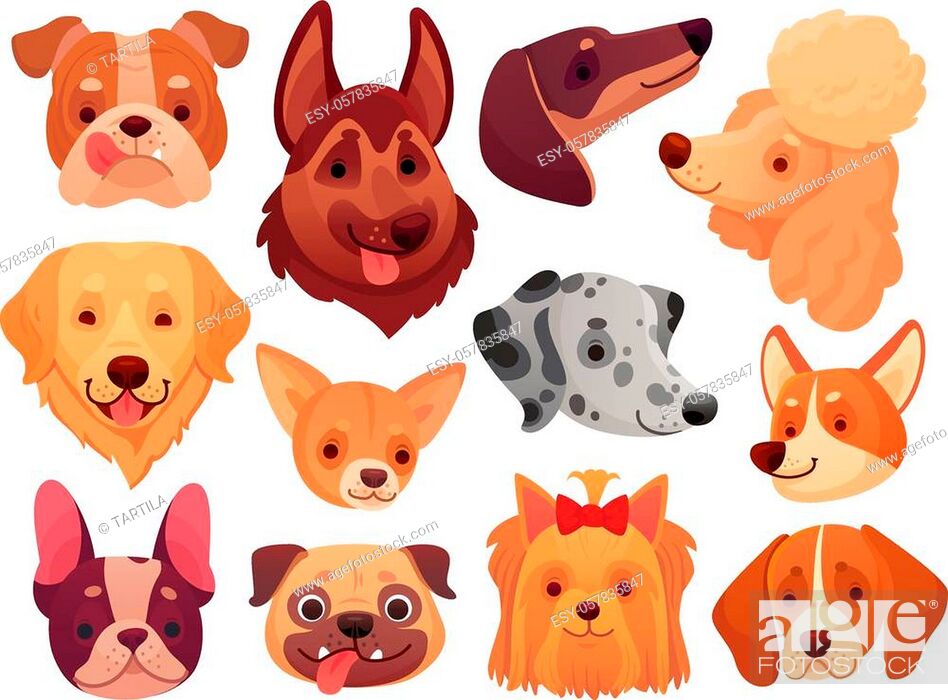 Cute dog face. Puppy pets, dogs animals breed and puppies heads, Stock  Vector, Vector And Low Budget Royalty Free Image. Pic. ESY-057835847 |  agefotostock