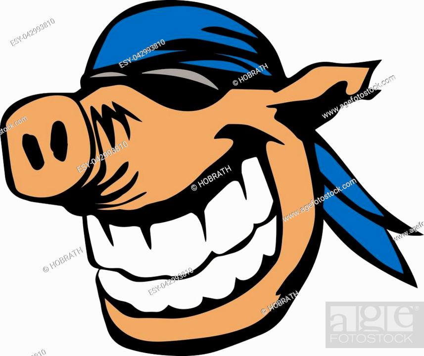 Funny cartoon hog wearing sunglasses and a bandanna, with a huge smile, big  white teeth, Stock Vector, Vector And Low Budget Royalty Free Image. Pic.  ESY-042993810 | agefotostock