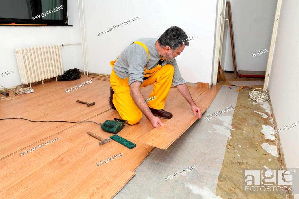 Male Worker Installing Laminate, Installing Laminate Hardwood Flooring