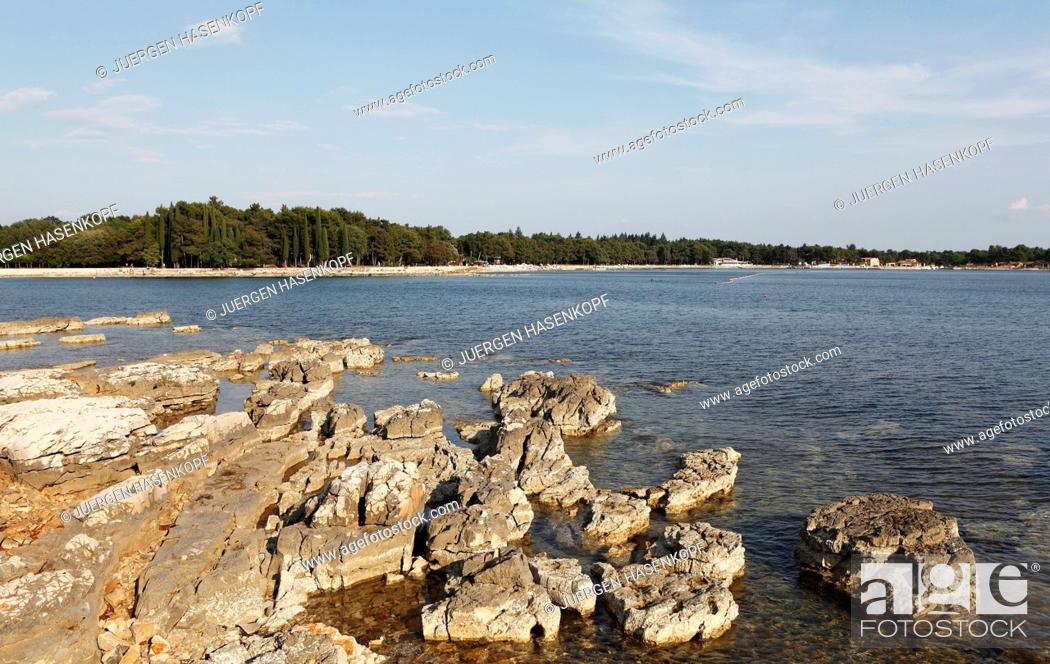Stock Photo: Rocky shore, bay at the edge of a forest, sea, Umag, Croatia, Europe.