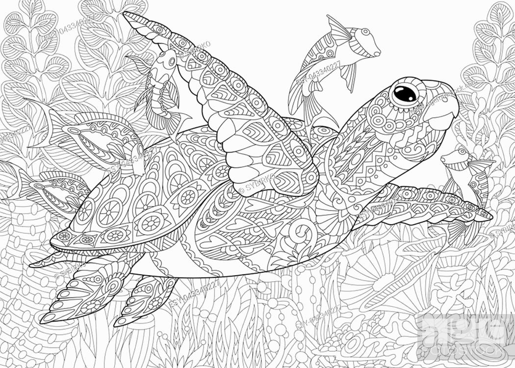 Coloring page for adult colouring book. Underwater background with ...