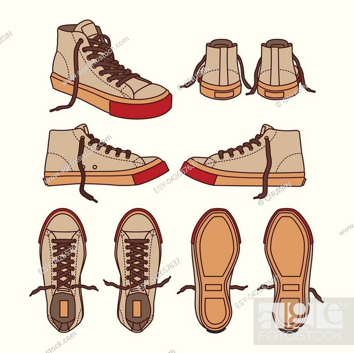 Ivy sneaker shoe canvas sport wear foot wear training running shoe  illustration vector cartoon, Stock Vector, Vector And Low Budget Royalty  Free Image. Pic. ESY-042657637 | agefotostock