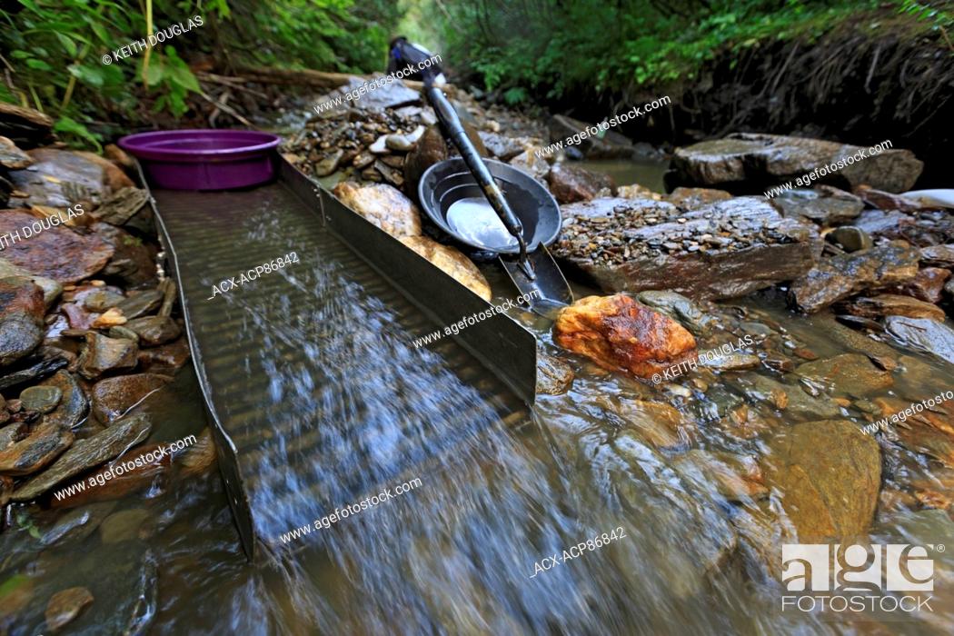 Stock Photo: Recreational gold panning on a creek in the Cariboo, near Wells, British Columbia.