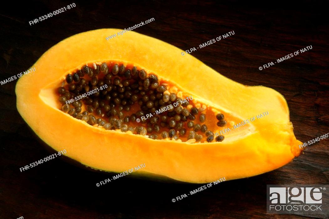 Papaya Carica Papaya Ripe Fruit Cut Open Showing Seeds Stock Photo Picture And Rights Managed Image Pic Fhr 53340 00021 810 Agefotostock,Are Hedgehogs Prickly