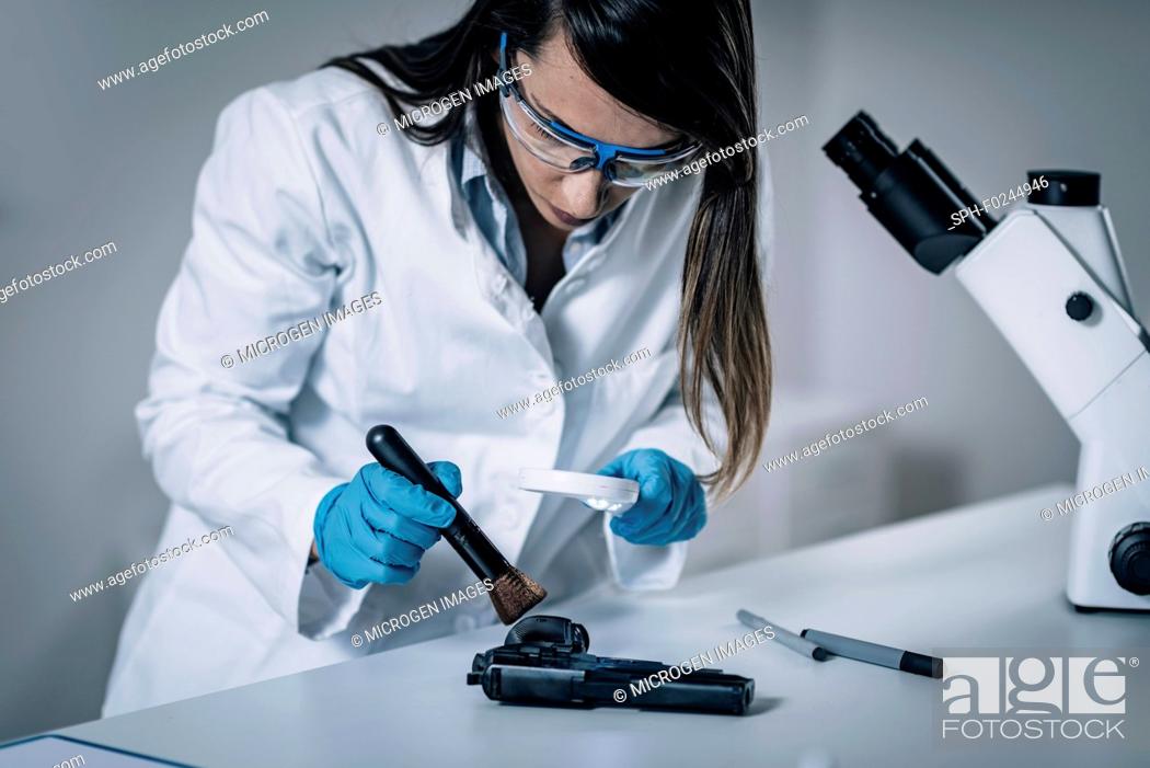 Stock Photo: Forensic Science in Lab. Forensic Scientist examining gun for evidence.