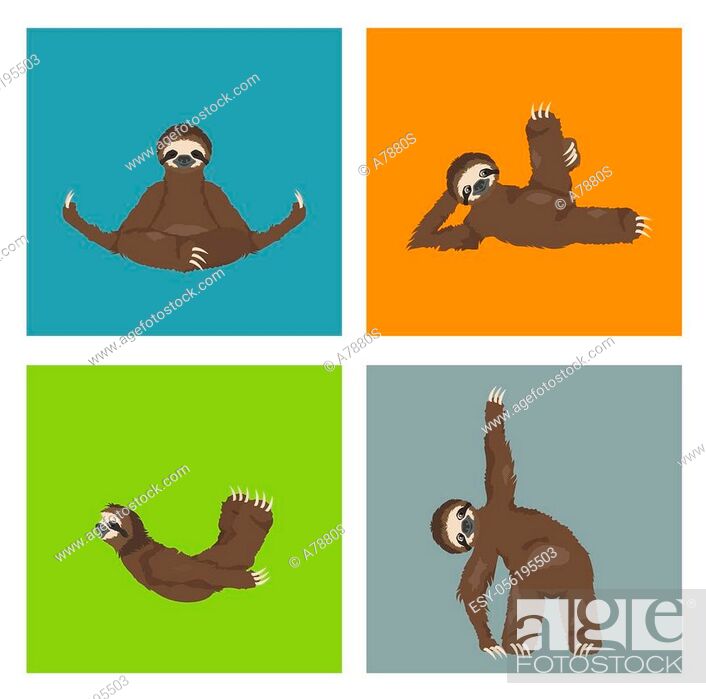 Sloth yoga collection. Funny cartoon animals in different postures set,  Stock Vector, Vector And Low Budget Royalty Free Image. Pic. ESY-056195503  | agefotostock
