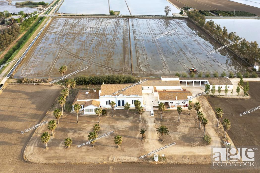 Stock Photo: The Tramontano farm house, flooded rice fields and dry patches experimentally cultivated with dryland rice, aerial view, drone shot, Ebro Delta Nature Reserve.