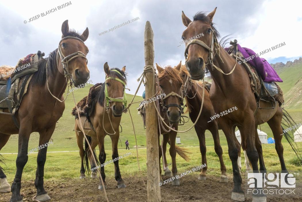 Stock Photo: Kyrgyz horse riders resting in the nomadic camp of Tash Rabat.
