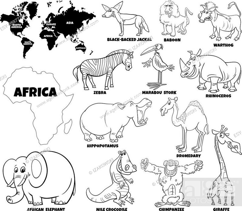 Black and white educational cartoon illustration of African animal  characters set and world map with..., Stock Vector, Vector And Low Budget  Royalty Free Image. Pic. ESY-059777863 | agefotostock