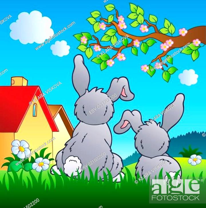 Meadow with two rabbits, Stock Photo, Picture And Low Budget Royalty Free  Image. Pic. ESY-021502200 | agefotostock
