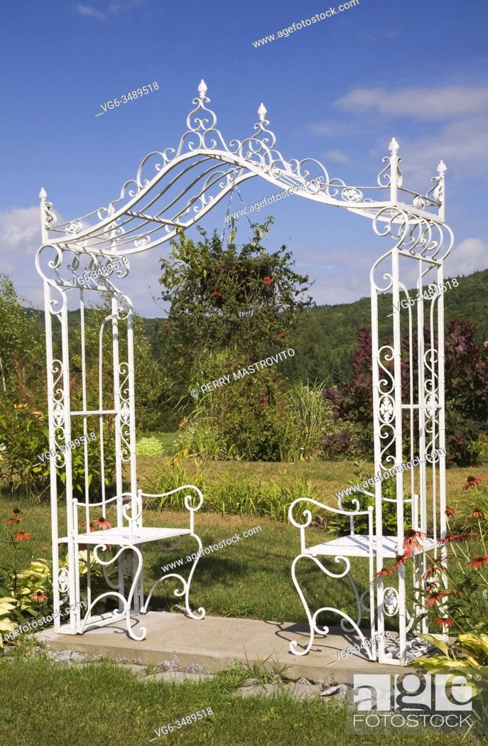 Stock Photo: White wrought iron metal arbour with sitting benches next to borders with red Echinacea - Coneflowers and Hosta plants in private backyard country garden in.