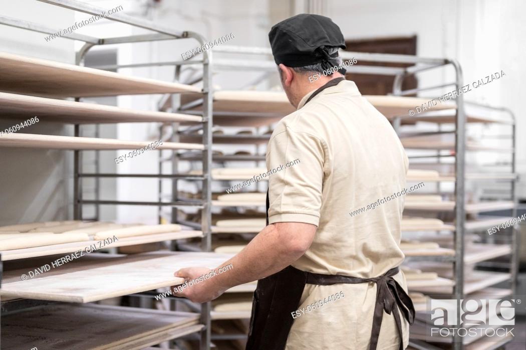 Stock Photo: Baker placing tray with formed raw dough on rack trolley ready to bake in the oven. High quality photo.