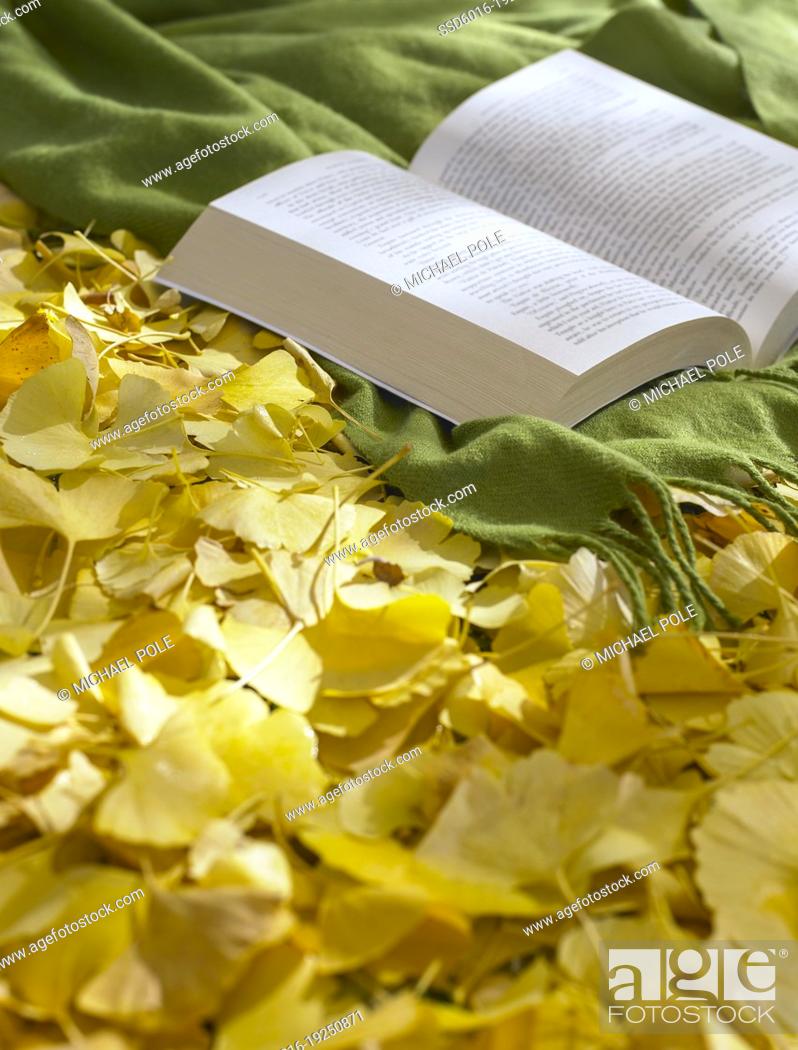 Stock Photo: Abandoned rug and book resting on golden ginko leaves in the garden.