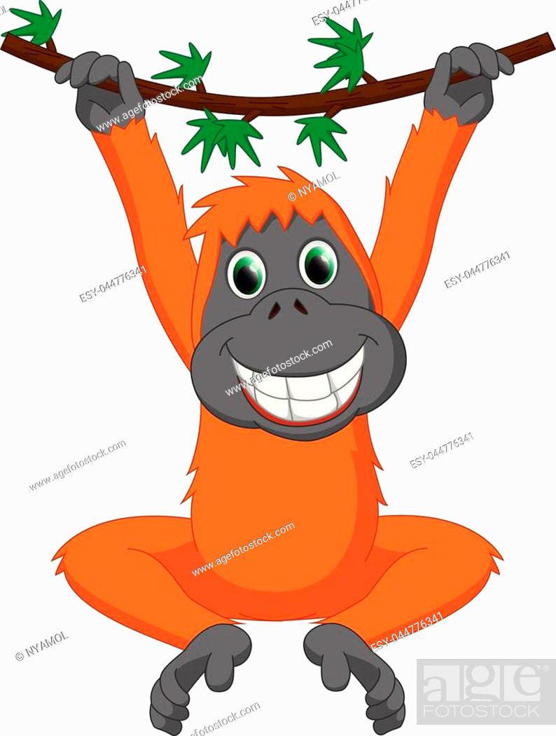 vector illustration of cute orangutan cartoon hanging, Stock Vector, Vector  And Low Budget Royalty Free Image. Pic. ESY-044776341 | agefotostock