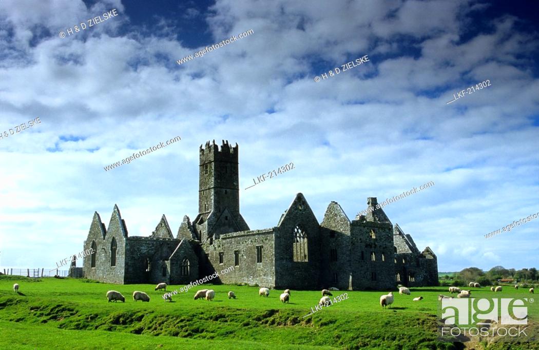 Stock Photo: Ruins of Ross Abbey near Headford, Connemara, County Galway, Ireland, Europe.