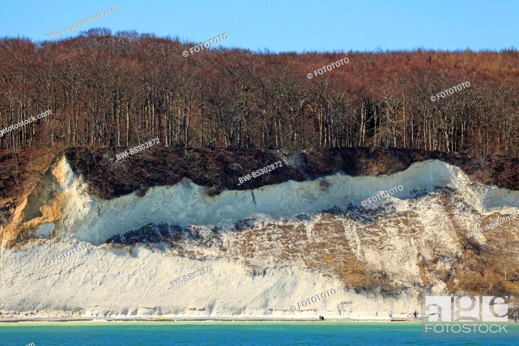 Imagen: view from the sea at the steep coast with the famous chalk cliffs and some promenaders on the narrow beach below, Germany, Mecklenburg-Western Pomerania.