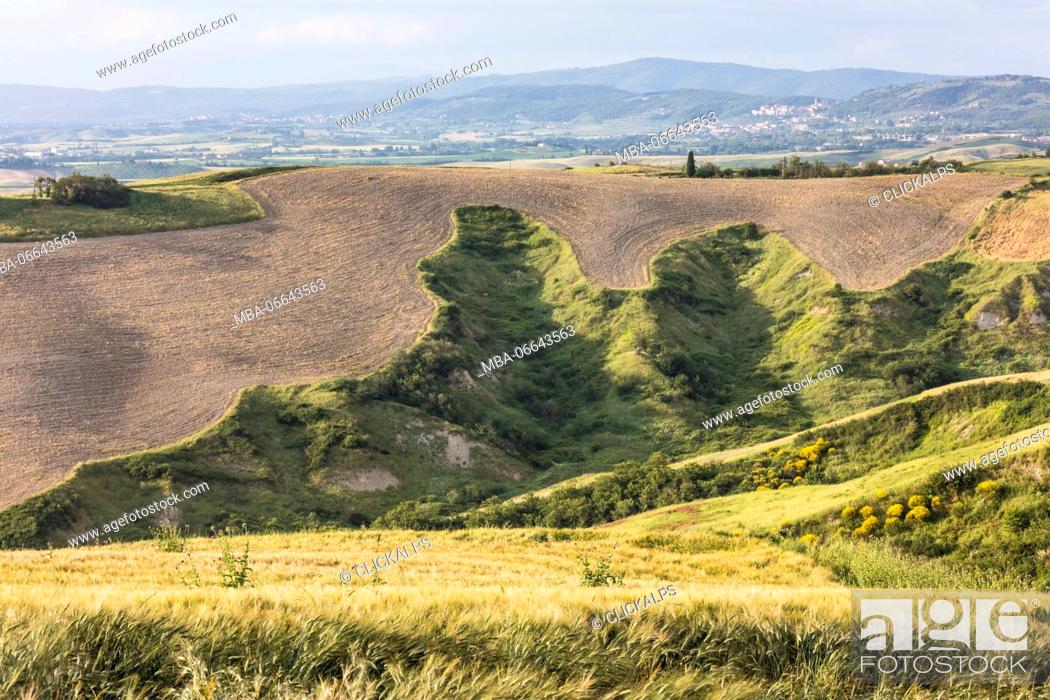 Stock Photo: The curved shapes of the multicolored hills of the Crete Senesi (Senese Clays) province of Siena Tuscany Italy Europe.
