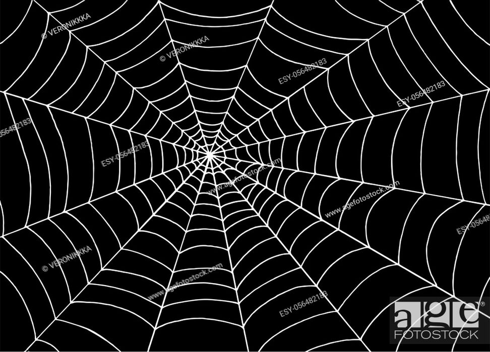 White spider web on black background, Doodle sketch vector art, Stock  Vector, Vector And Low Budget Royalty Free Image. Pic. ESY-056482183 |  agefotostock