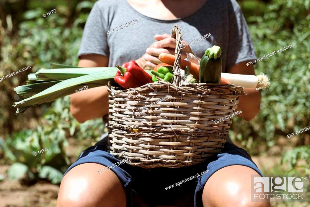 Stock Photo: closeup of a young caucasian man with a rustic basket full of vegetables freshly collected in an organic orchard.