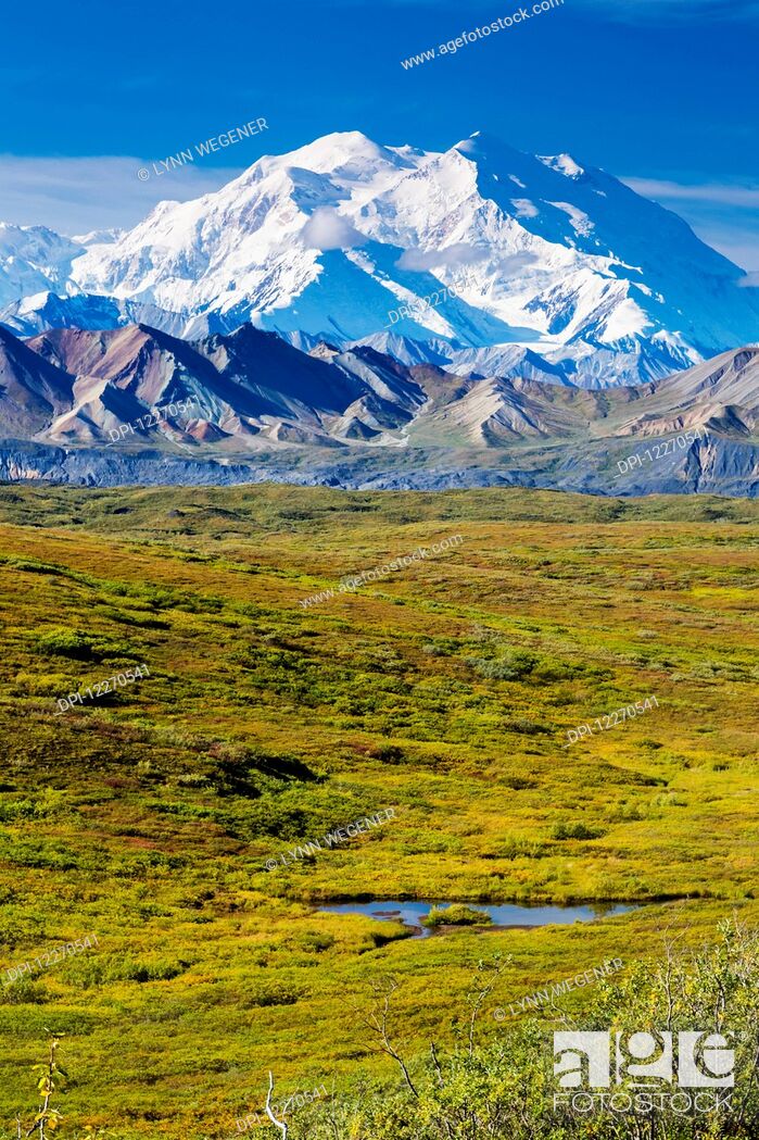 Stock Photo: Scenic view of Mt. McKinley with the tundra covered Muldrow Glacier and tundra pond in the foreground, Denali National Park; Alaska, United States of America.