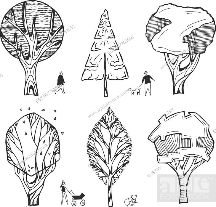 Vector illustration of architectural trees drawings. Stylized cartoon  simplified minimalistic sketch..., Stock Vector, Vector And Low Budget  Royalty Free Image. Pic. ESY-057763550 | agefotostock