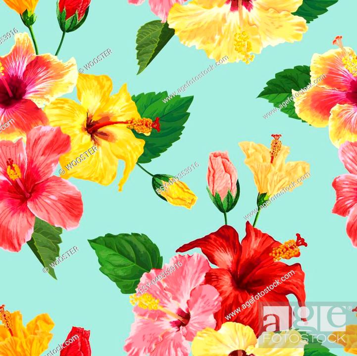 Tropical Hibiscus Flower Seamless Pattern. Floral Summer Background for  Fabric Textile, Wallpaper, Stock Vector, Vector And Low Budget Royalty Free  Image. Pic. ESY-049353916 | agefotostock