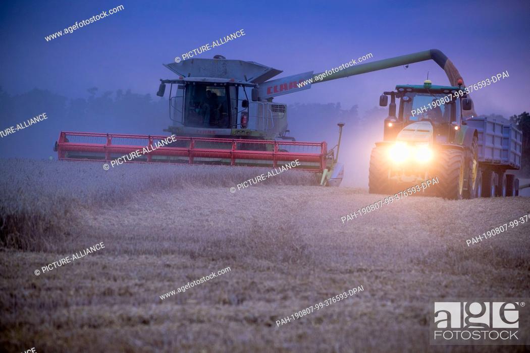 Stock Photo: 06 August 2019, Mecklenburg-Western Pomerania, Lützow: With combine harvesters, the farmers of the market fruit Lützow harvest a wheat field late in the evening.