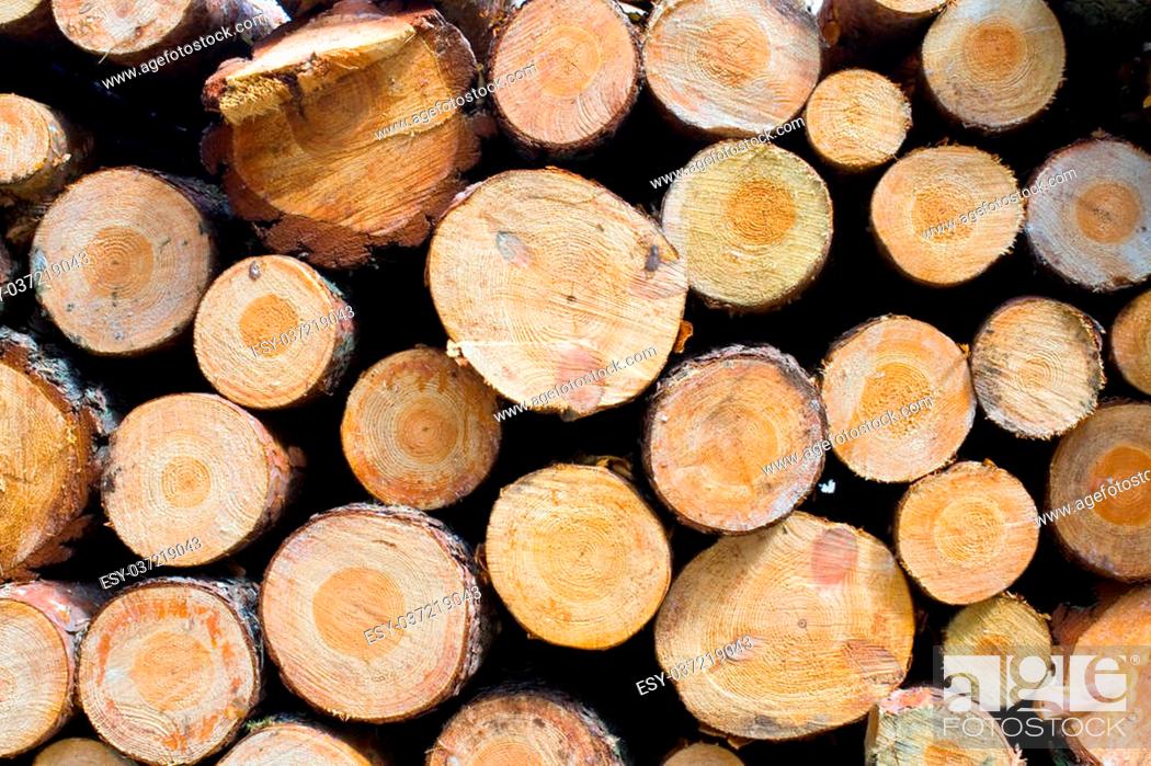 Stock Photo: Stacked Logs Texture, Natural Background.