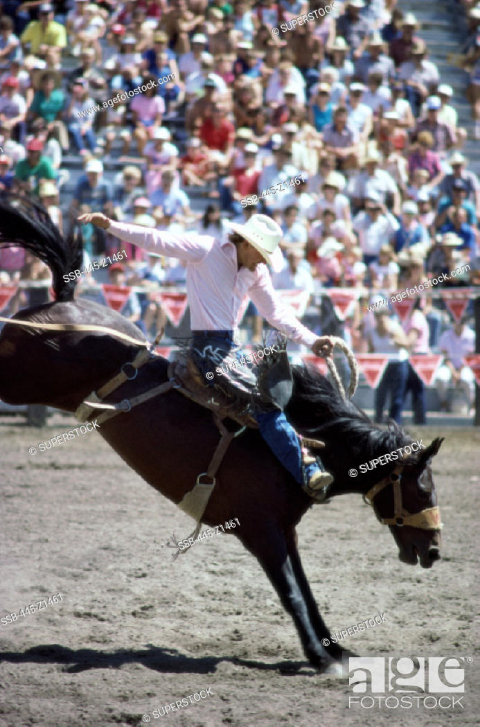 Stock Photo: Rodeo Truckee California USA.