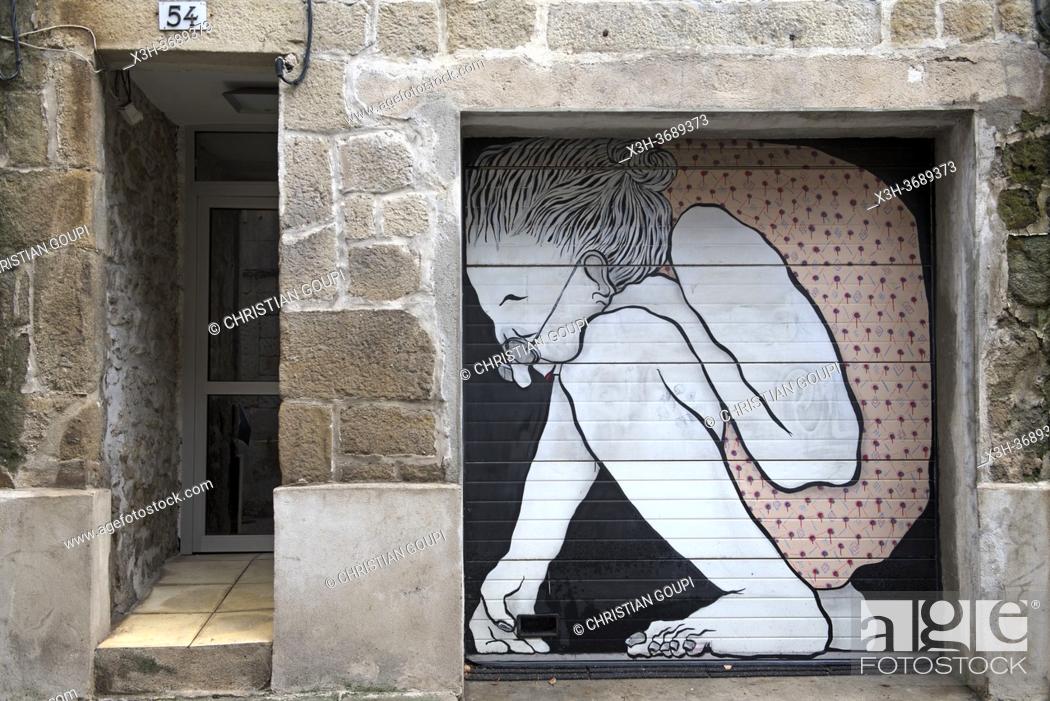 Stock Photo: peinture sur porte de garage par Ella et Pitr, artistes de rue, Rue Henri Gonnard, Saint-Etienne, departement de la Loire, region Auvergne-Rhone-Alpes, France.